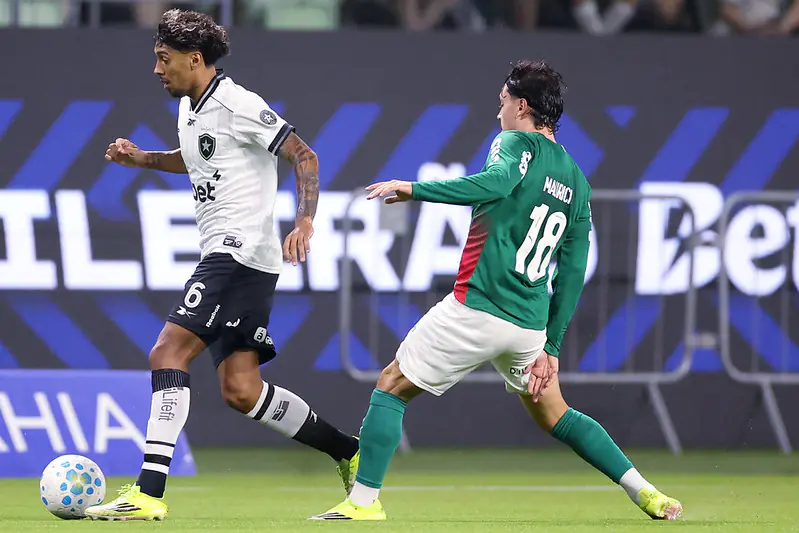 Botafogo x Palmeiras pelo Brasileirão: onde assistir, estatísticas, histórico e escalações