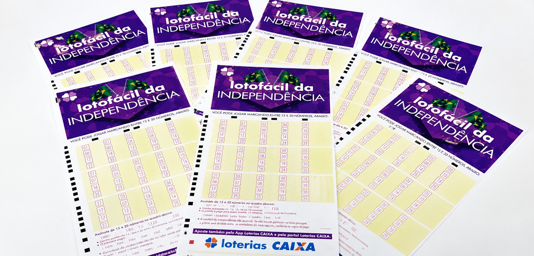 Lotofácil da Independência: confira os números sorteados