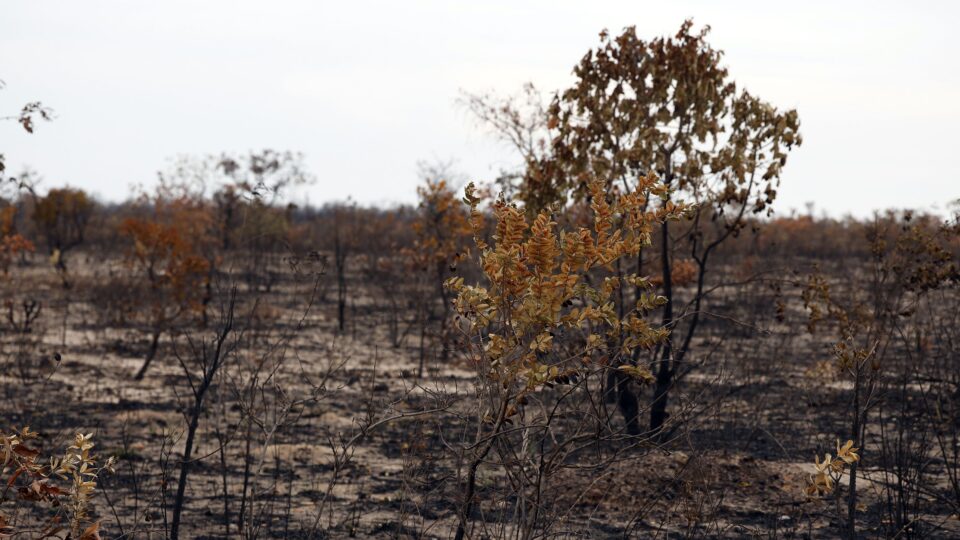 O ambientalismo cristão é o melhor ambientalismo